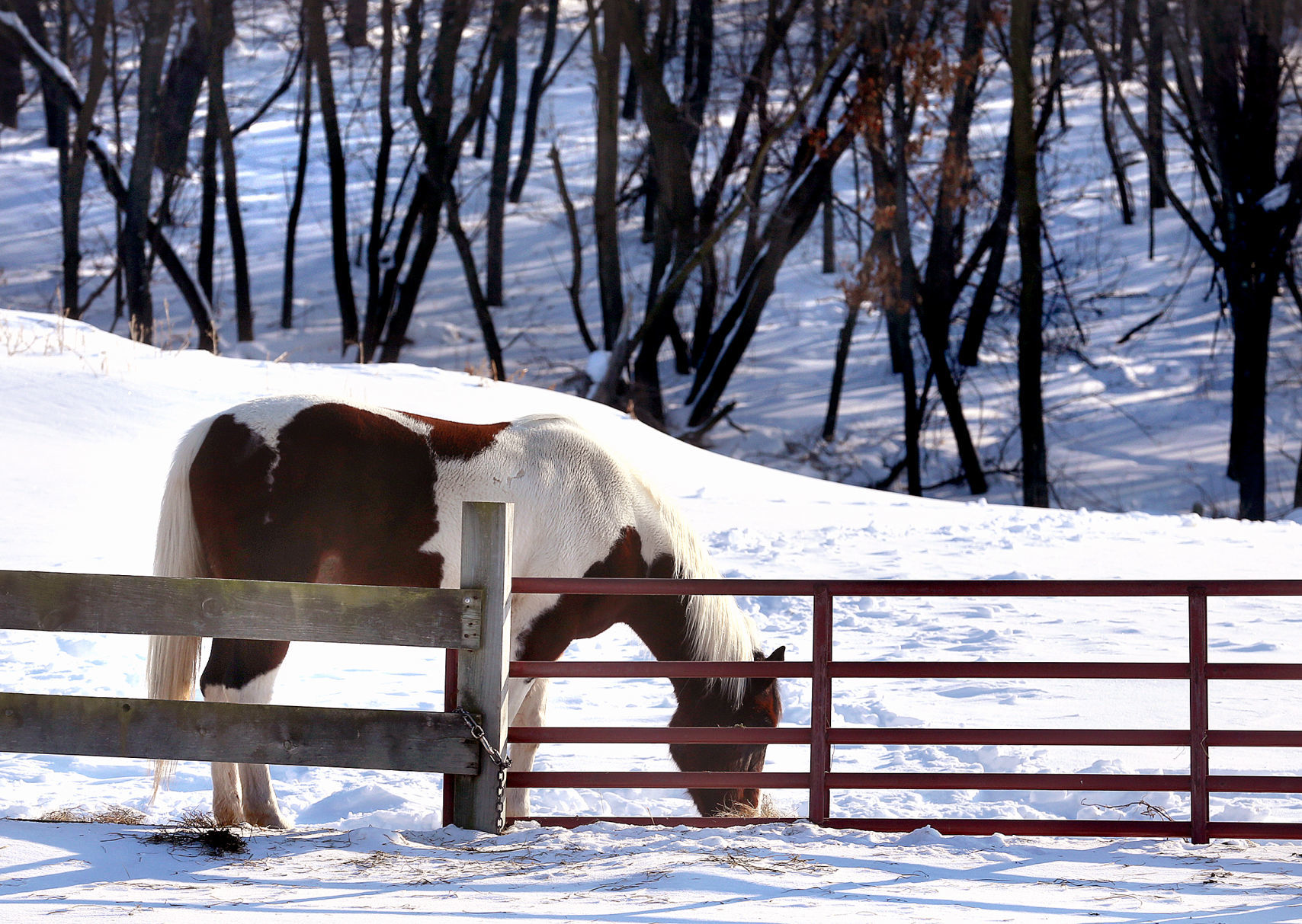 Feb. 22: Trempealeau County